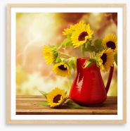 Red jug sunflowers