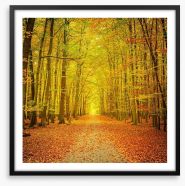 Autumn forest path Framed Art Print 56009948