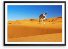 Desert Framed Art Print 56206802