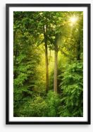 Green forest sunbeam Framed Art Print 56243360