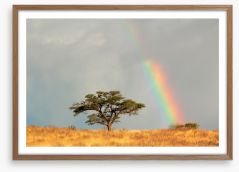 Rainbows Framed Art Print 56432668