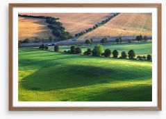 Meadows Framed Art Print 56450685