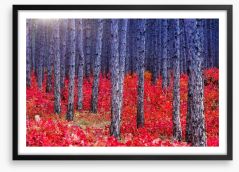 Red Autumn forest Framed Art Print 56511219
