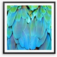 Harlequin macaw feathers Framed Art Print 56692337