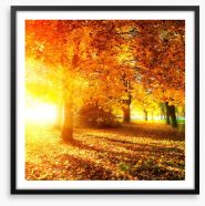 Autumn leaves in sunlight rays Framed Art Print 56726549