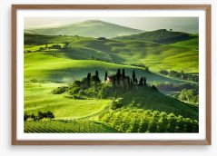 Olive groves and vineyards Framed Art Print 56837079