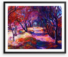 Path in the forest Framed Art Print 57599283