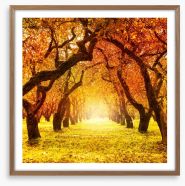 Autumn tree tunnel Framed Art Print 57608668