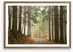 Path through the conifers Framed Art Print 57713018