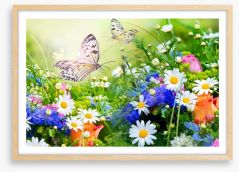 Butterfly paradise