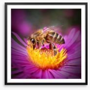 Insects Framed Art Print 57826683