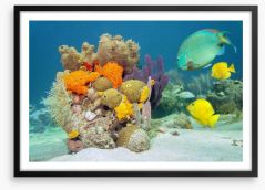 Underwater Framed Art Print 57849628
