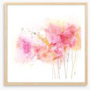 Watercolour carnations