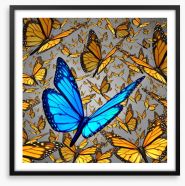 Lord of the butterflies Framed Art Print 58230590