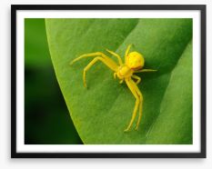 Insects Framed Art Print 58389743