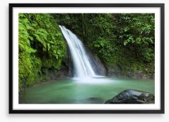 Rainforest cascades Framed Art Print 58446357