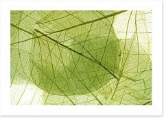 Transparent leaves Art Print 58647115