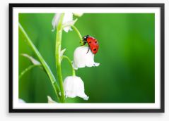 Insects Framed Art Print 58962843