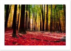 Autumn forest with golden light Art Print 58997773