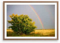 Rainbows Framed Art Print 59106534