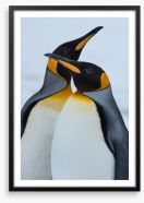 King Penguins cuddle Framed Art Print 59571055