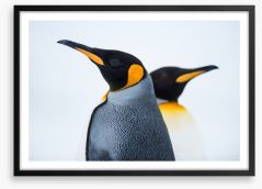 King penguins Framed Art Print 59571327