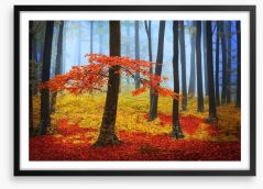 Forests Framed Art Print 59986620