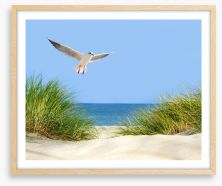 Sand dunes and seagull