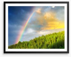 Rainbows Framed Art Print 60144145