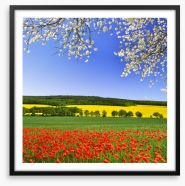 Canola and poppies Framed Art Print 60238982