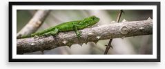 Green iguana Framed Art Print 60253568