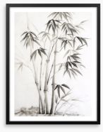 Bamboo watercolour Framed Art Print 60401807
