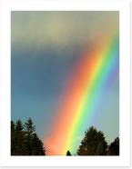 Rainbows Art Print 60787745