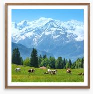Below Mont Blanc Framed Art Print 60834805