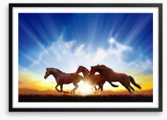 Galloping horse sunbeam Framed Art Print 60981945