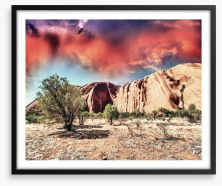 The magnificent Outback Framed Art Print 61081385