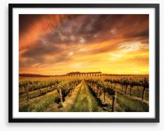 Morning vines Framed Art Print 61140767