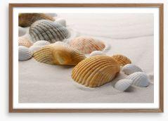 Shells on the sand Framed Art Print 61327381