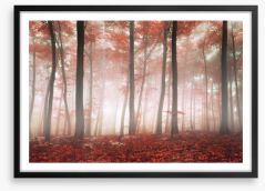 Red leaf forest Framed Art Print 61369506
