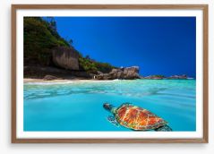 Tropical green turtle Framed Art Print 61430210