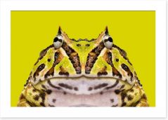 Reptiles / Amphibian Art Print 61570682