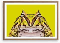 Reptiles / Amphibian Framed Art Print 61570682