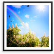Rainbows Framed Art Print 61752594