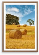 Hay bale harvest Framed Art Print 61899971