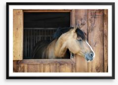 My stable window Framed Art Print 61921453