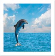 Jumping dolphin Art Print 61990213