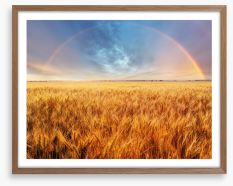 Rainbow over the wheat Framed Art Print 62076240