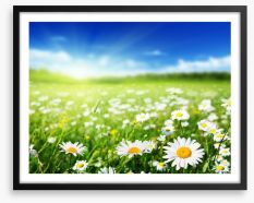 Daisy meadow Framed Art Print 62087928