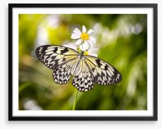 Insects Framed Art Print 62147505
