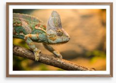 Reptiles / Amphibian Framed Art Print 62159516
